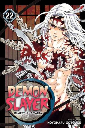 [Demon Slayer - Kimetsu No Yaiba: Shonen Jump Manga Edition Vol. 22 (SC)]