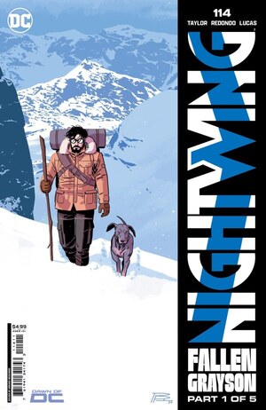 [Nightwing (series 4) 114 (Cover A - Bruno Redondo)]