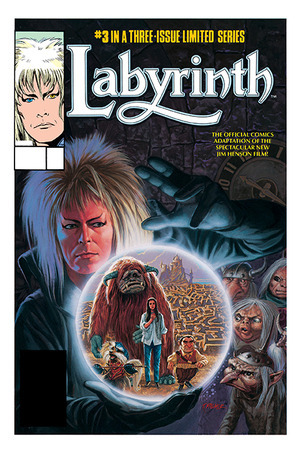 [Jim Henson's Labyrinth - Archive Edition #3 (Cover A - Tom Palmer)]