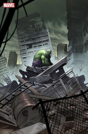 [Incredible Hulk (series 5) No. 19 (Cover E - Martin Coccolo Stormbreakers)]