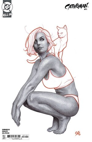 [Catwoman (series 5) 71 (Cover B - Frank Cho)]