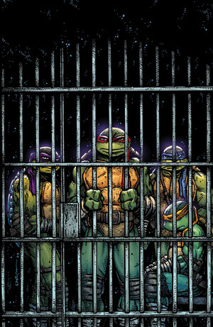 [Teenage Mutant Ninja Turtles (series 6) #11 (Cover F - Kevin Eastman Full Art Incentive)]