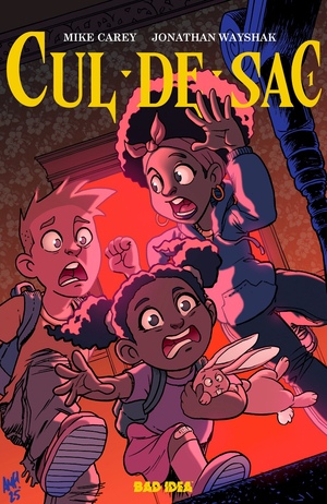[CUL DE SAC #1 (OF 4) CVR B TONY FLEECS CURSED MIRROR VAR]