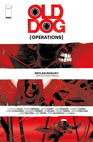 [OLD DOG OPERATIONS #1 (ONE SHOT) CVR A DECLAN SHALVEY]