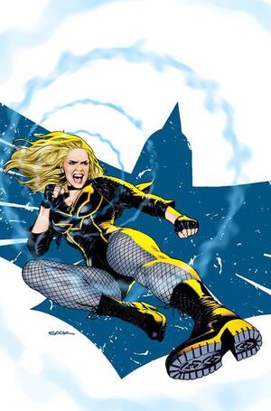 [BLACK CANARY BEST OF THE BEST #1 (OF 6) CVR A RYAN SOOK]