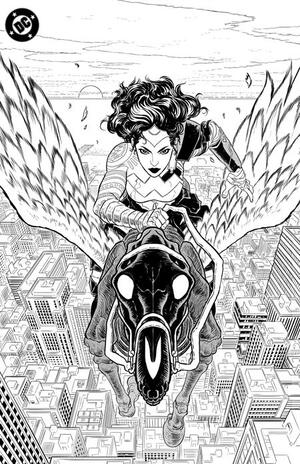 [ABSOLUTE WONDER WOMAN NOIR EDITION #1 (ONE SHOT) CVR C HAYDEN SHERMAN FOIL VAR]