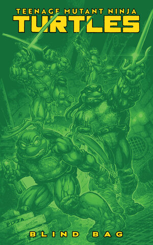 [TEENAGE MUTANT NINJA TURTLES #13 CVR F (BLIND BAG)]