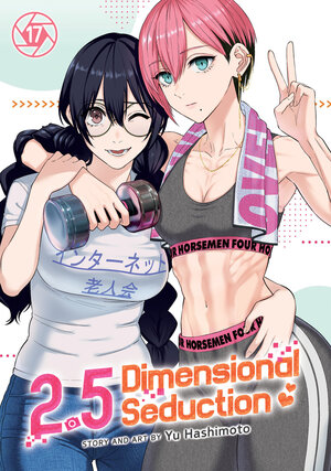 [2.5 DIMENSIONAL SEDUCTION VOL. 17 TP]