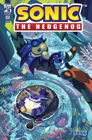 [SONIC THE HEDGEHOG ANNUAL 2024 ONESHOT CVR B FOURDRAINE]