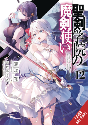 [DEMON SWORD MASTER EXCALIBUR ACADEMY NOVEL SC VOL 12]