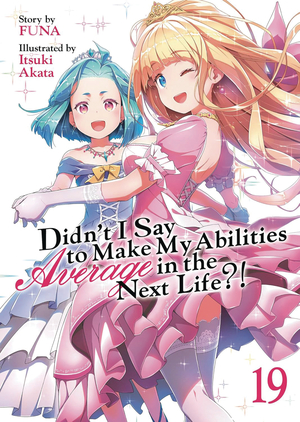 [DIDNT I SAY MAKE ABILITIES AVERAGE NOVEL SC VOL 19]