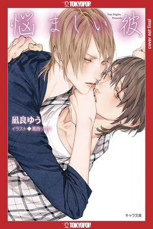 [MY BEAUTIFUL MAN LIGHT NOVEL SC VOL 3]